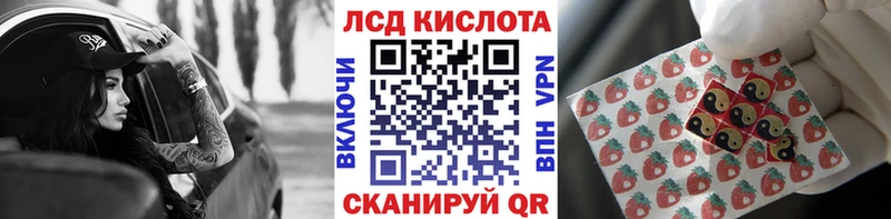 хочу Стародуб Наркотические марки 1500мкг